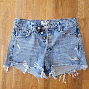 Agolde Parker Cutoff Short